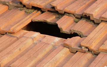 roof repair Newmill
