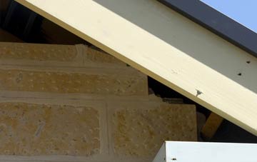 soffit repair Newmill