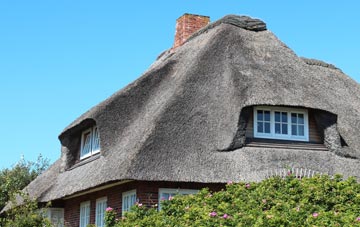 thatch roofing Newmill